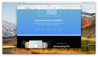 WWDC 設計分會 跨平臺設計中的平臺適配與風格協調